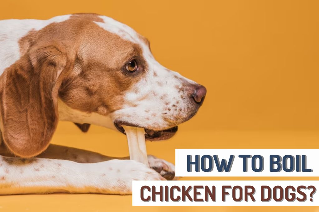 How To Boil Chicken Breasts For Dogs
