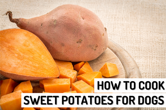 How to Cook Sweet Potatoes For Dogs?