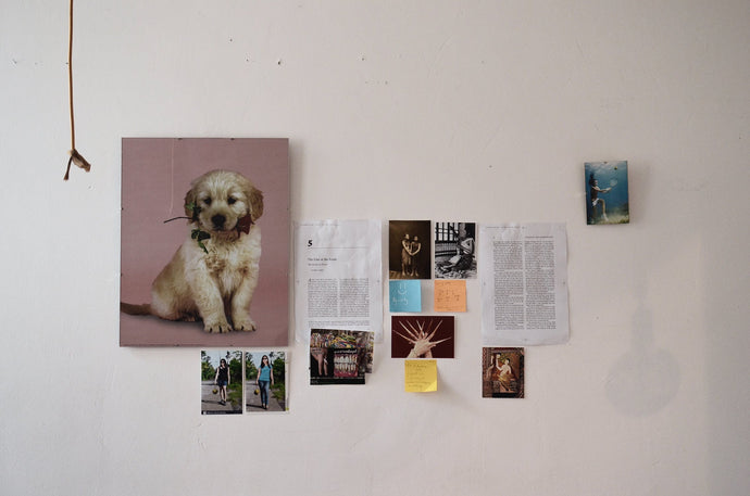 Gone, But not Forgotten: A dog is the only thing on earth that loves you more than you love yourself.