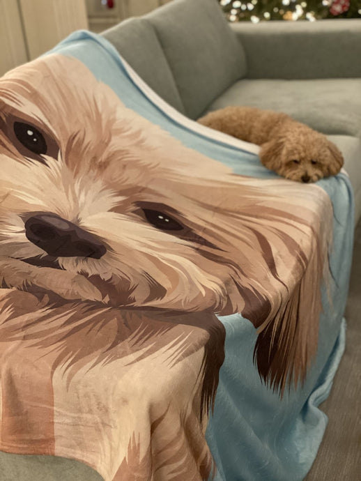 Smart ways to style your pets with their custom blanket