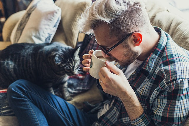 Keeping your pets engaged indoors: How you do it right