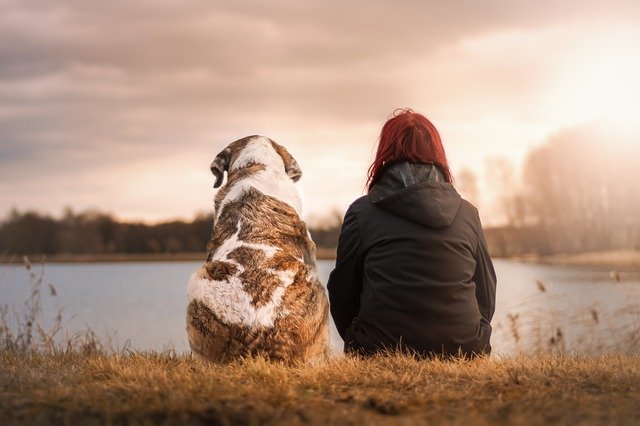 Six funny reasons why pets are the best therapist/shrink