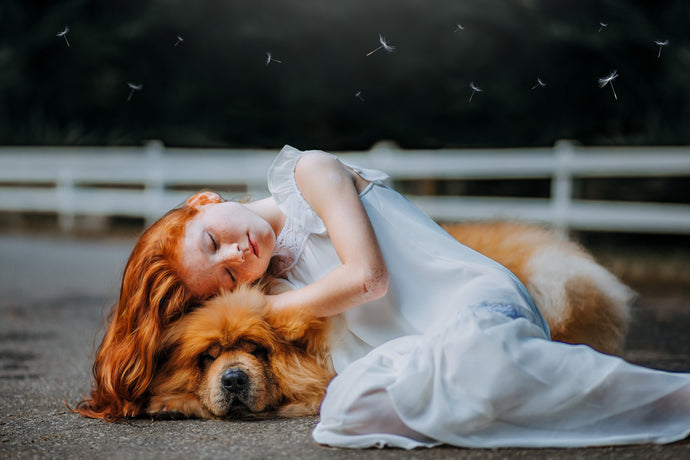5 Creative Ways to Make Your Pets Love You More