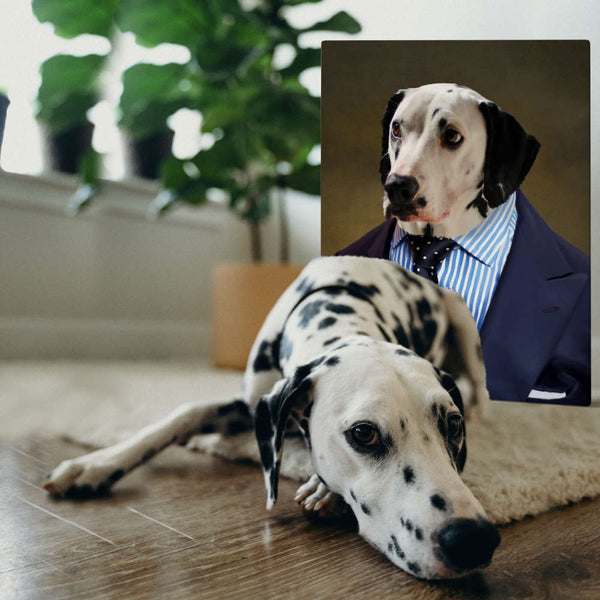 Dalmation Dog Mr. Confident - Custom Pet Portrait Online