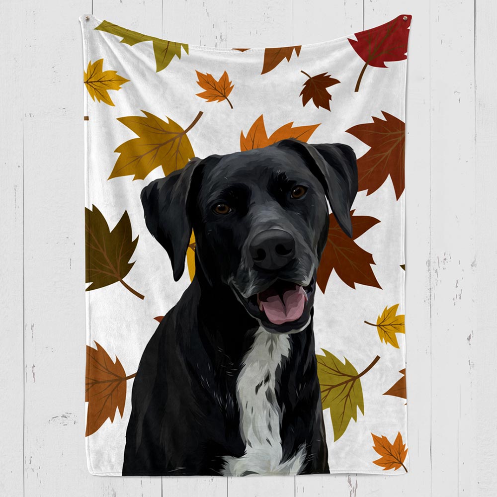 Floppa Fall Exploring the Enigmatic Floppa Cat Breed: Your Guide to These ...